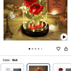 Beauty and The Beast Rose Valentines Day Gifts for Her, Birthday Gifts for Women, Light Up Roses, Glass Dome Rose with LED Lights, Red Roses, Valentin