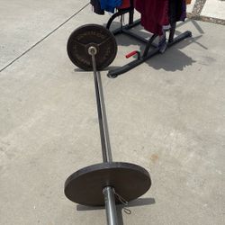 Weights 