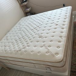 Saatva Brand Mattresses 