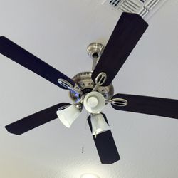 Five fans for sale.