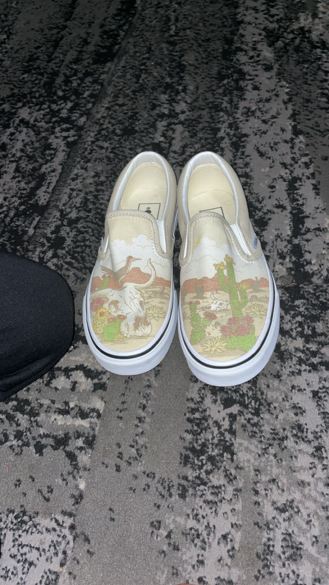 Desert Slip On Vans Size 4.5 Men And Size 6 In Women