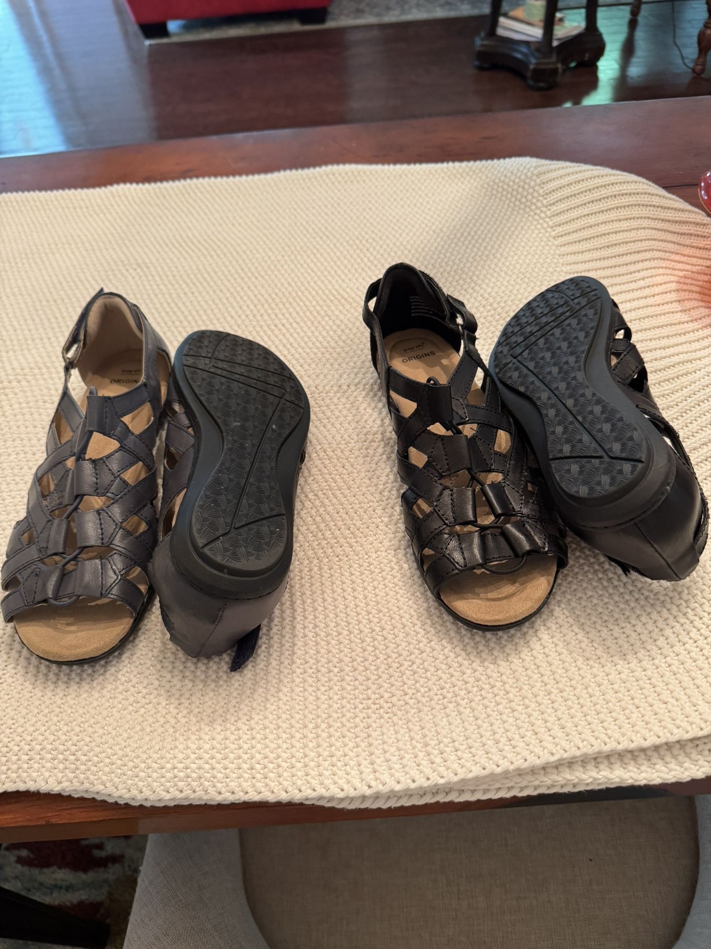 Earth Origins Sandler