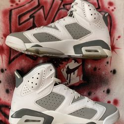 Jordan 6 Cool Grey 