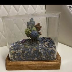 Fish Aquarium 