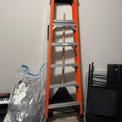 6 Foot Ladder