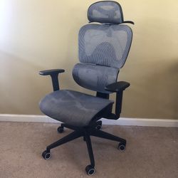 Office / Gaming Chair