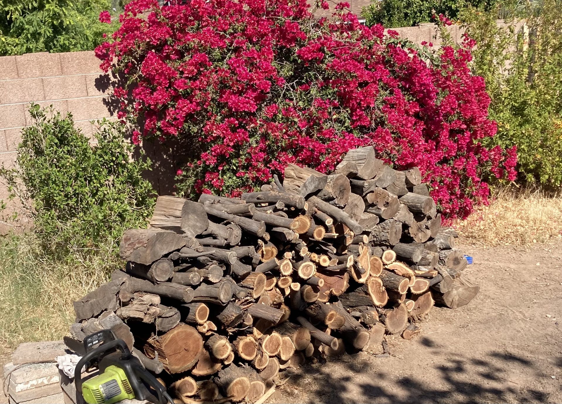 Mesquite Firewood