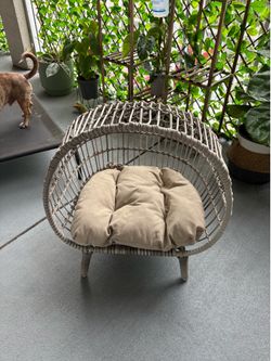 Pet egg chair