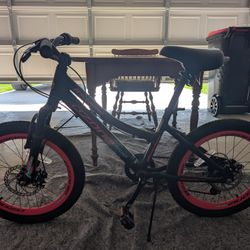 Girls  Mountain Bike 