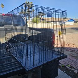 XL Pet Crate $50  New Item