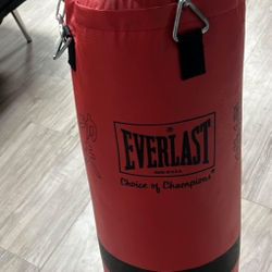 Everlast Punching Bag (Red)