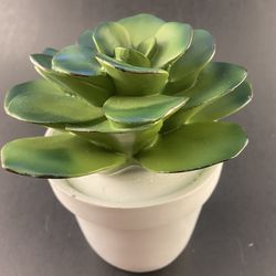 Ceramic Succulent in Pot Decor—Meant to stand against flat surface/wall