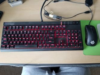 Corsair Strafe mechanical gaming keyboard and steelseries gaming mouse