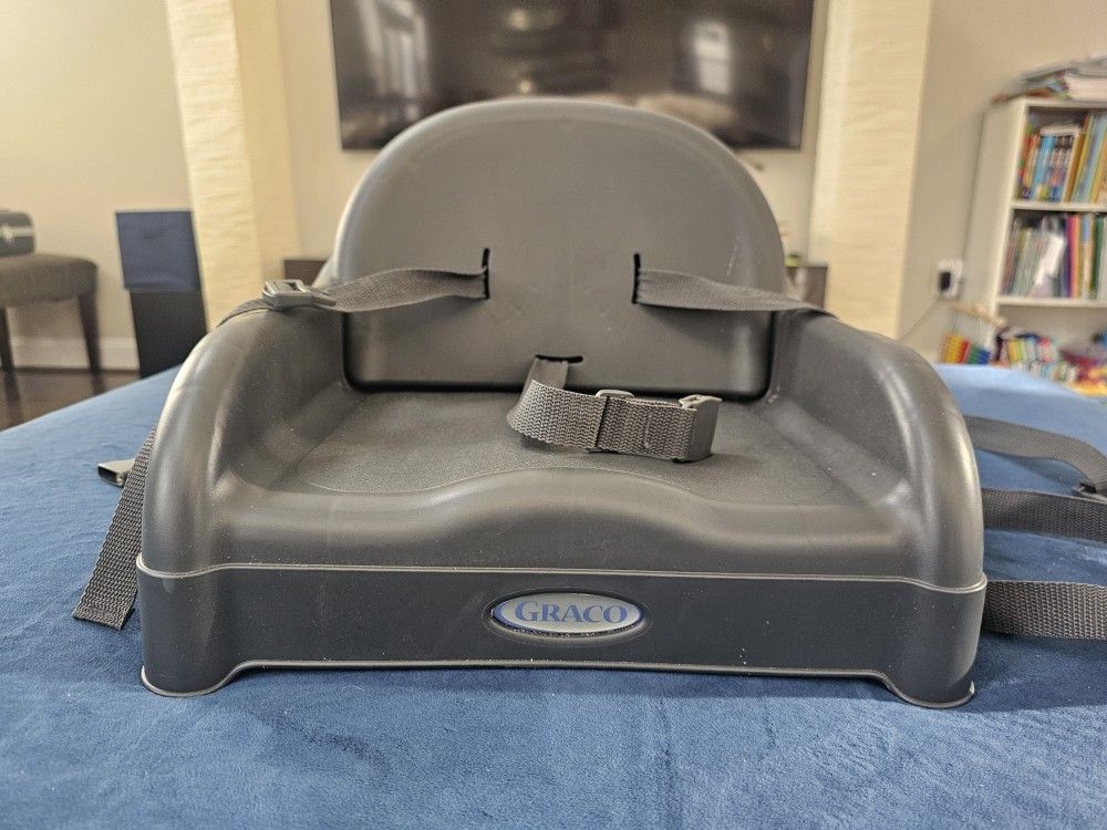 Graco Booster Seat