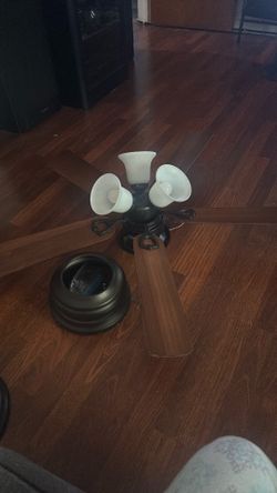 Ceiling fan