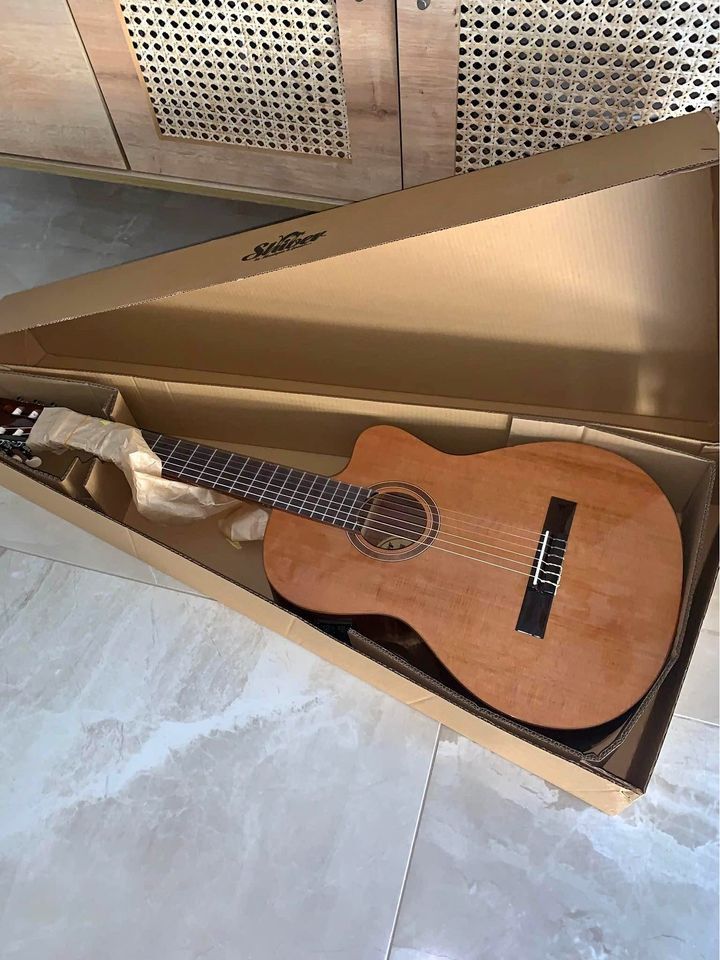 Guitar
