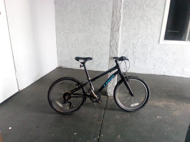 Trek Butterfly Bike