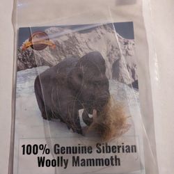 Real Woolly Mammoth Fur!