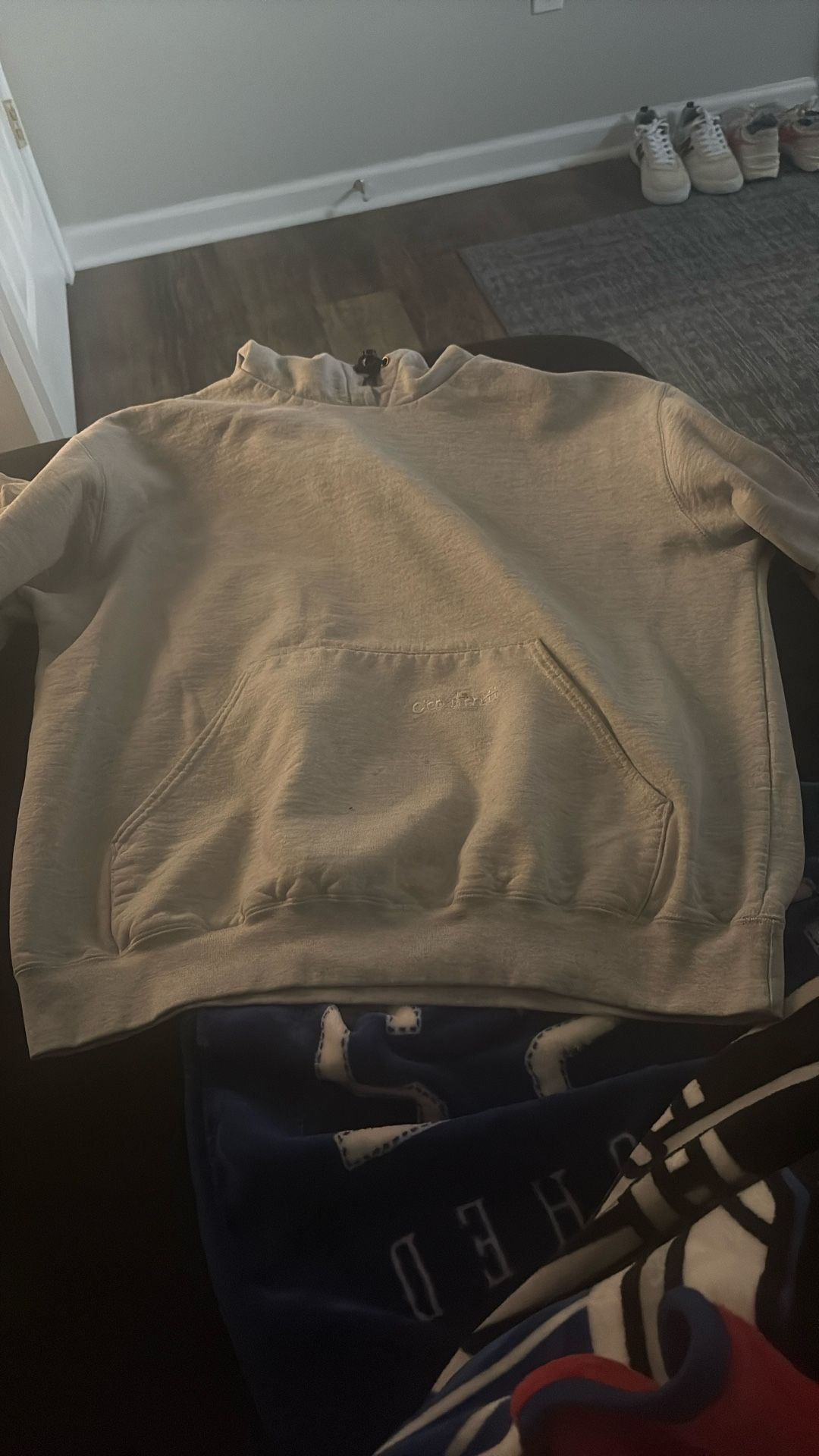 Older Carhartt Hoodie 