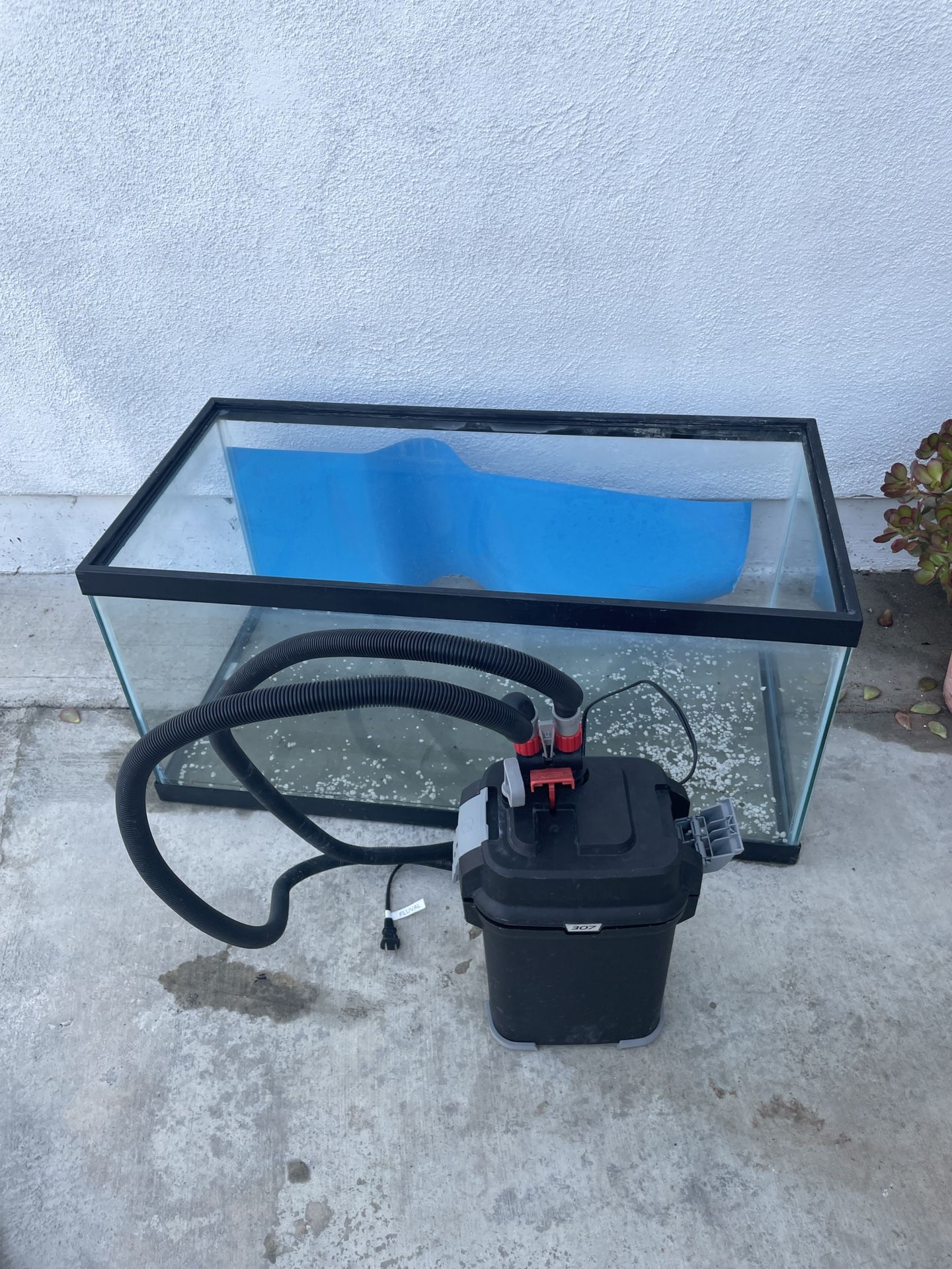 Fish Tank