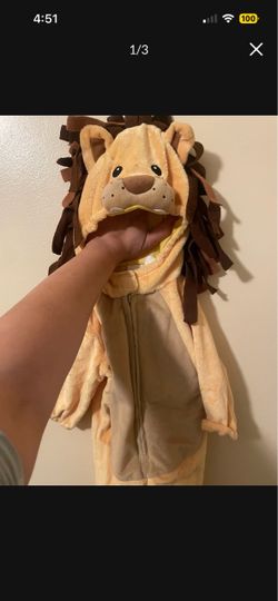 Lion costume