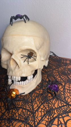 1995 Vintage , realistic skull ) Halloween prop
