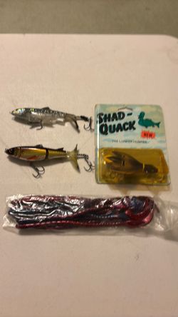 Big bass baits