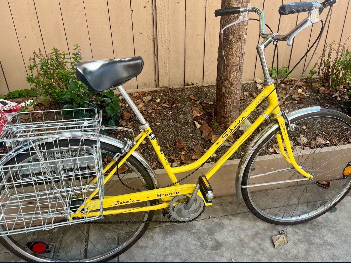 Old school vintage Schwinn cruiser bike with basket and gears