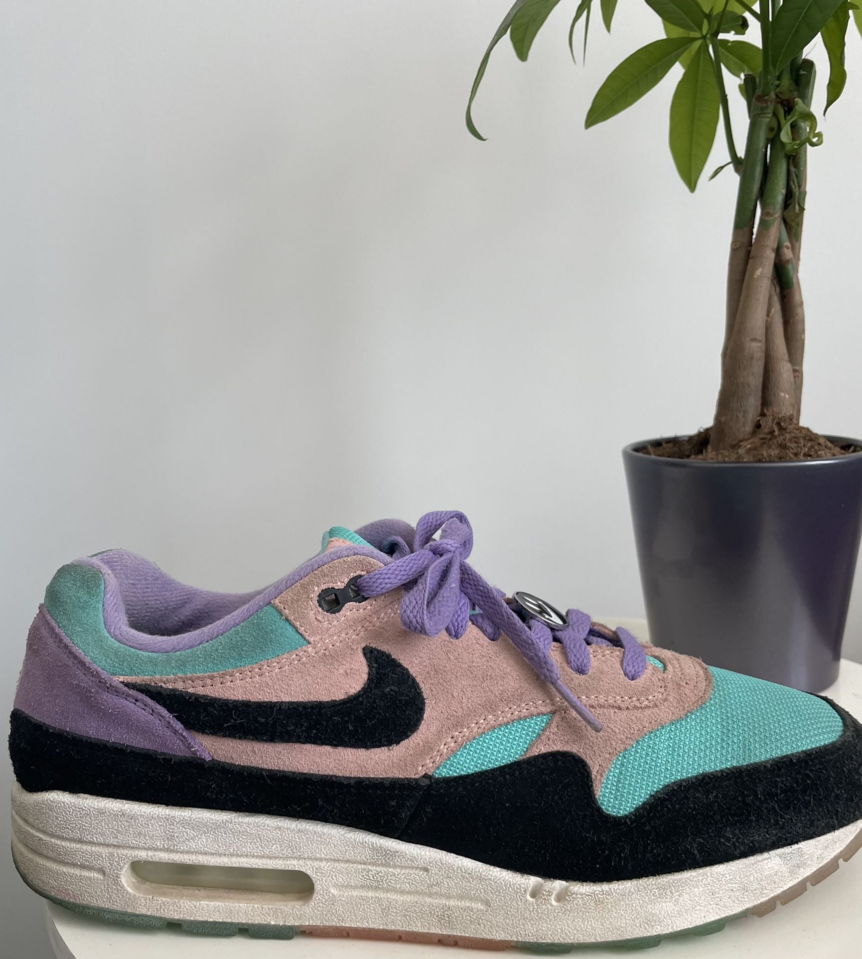 Air Max 1 'Have A Nike Day' | Men 11.5