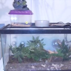 Reptile Tank