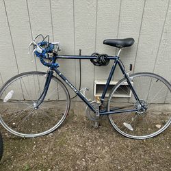 vintage Nishiki Sebring road bike
