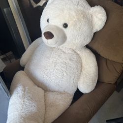 Large Teddy Bear