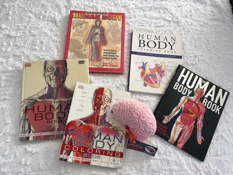 Anatomy bundle (perfect for premed/pre nursing)
