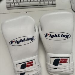 Title 10oz Boxing Gloves