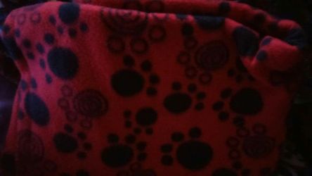 Red and black dog print tie blanket
