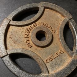Gym Weights 