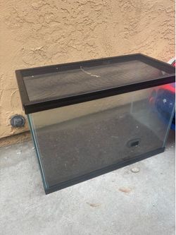 20 gallon tank