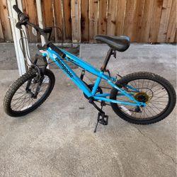 Boys Bike 20” 