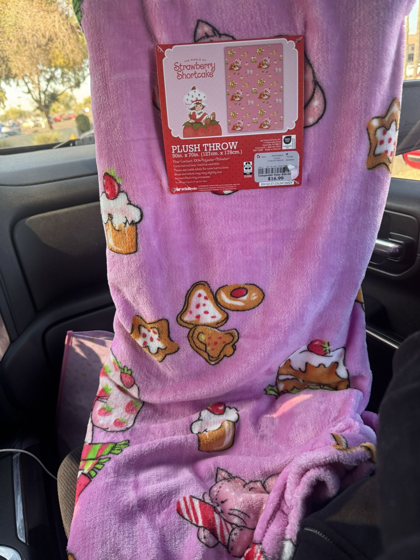 Strawberry Shortcake Christmas Blanket 