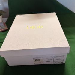Zapatos Dior