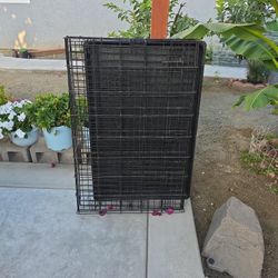 Dog Crate