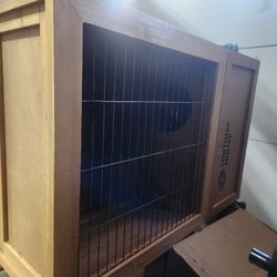 Tortoise House 