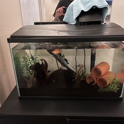 Fish Tank