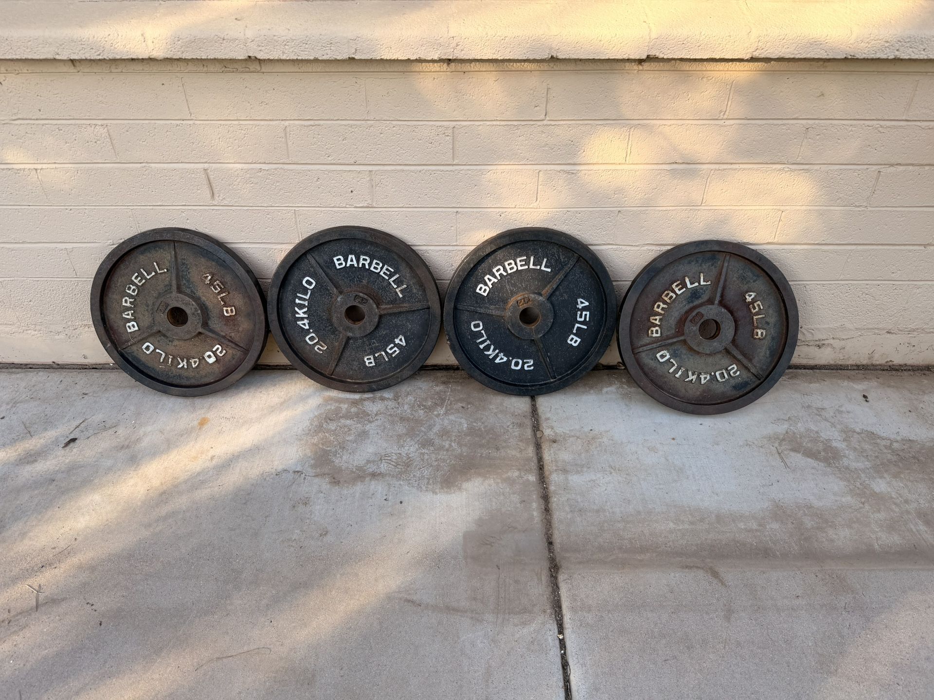 45lb Cap Weight Plates