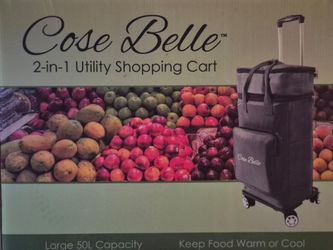 2-1 utility shopping cart with cold compartment