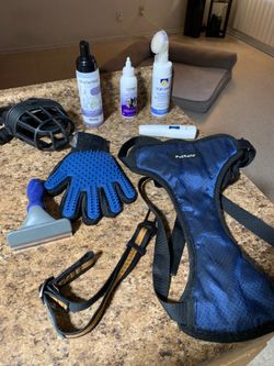 Used Dog items (large)