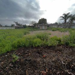 Renting For Trailers