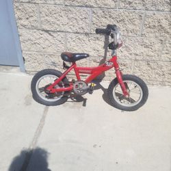 Giant Kids Bike