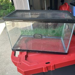 10 Or 15 Gallon