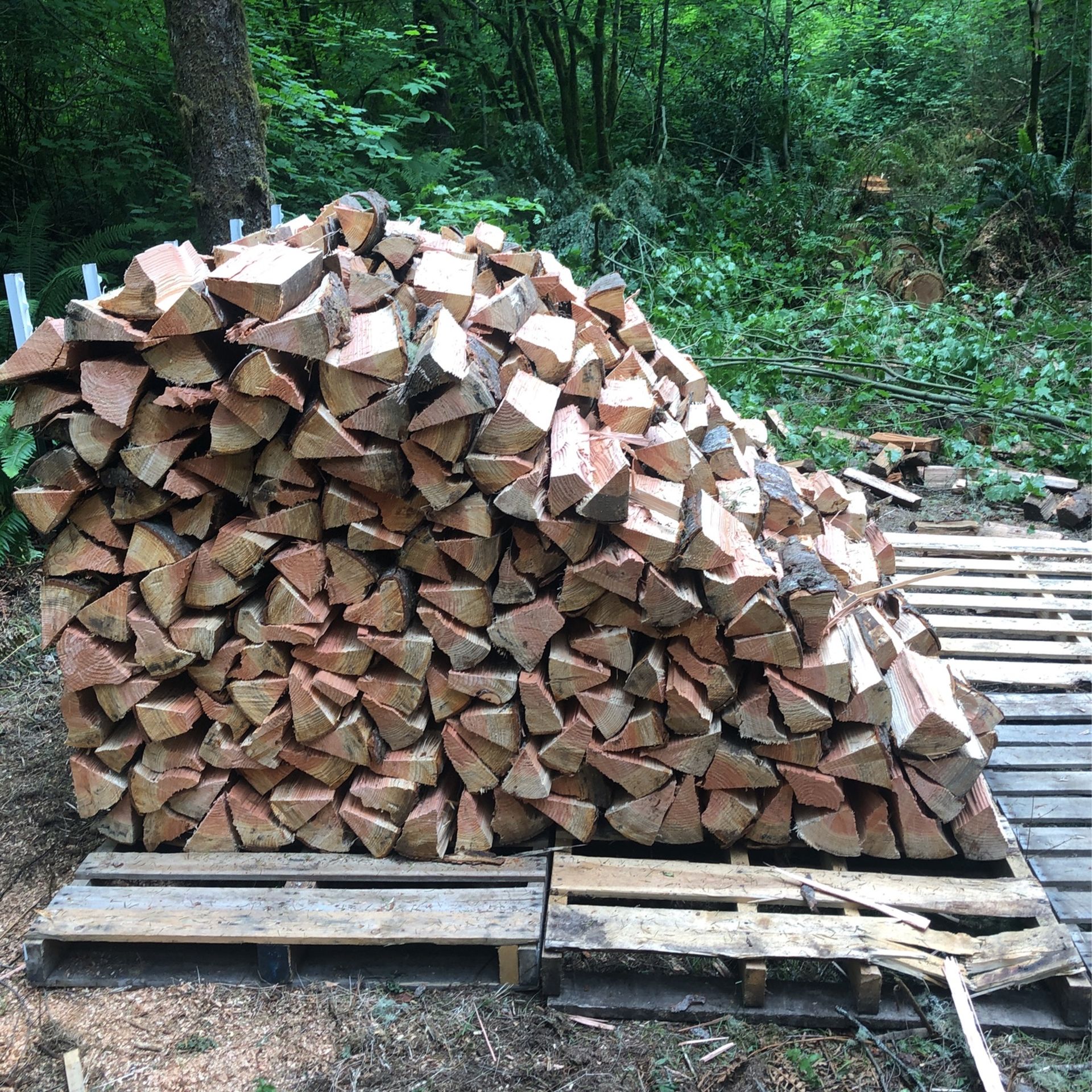 Firewood Split And Seasoned 